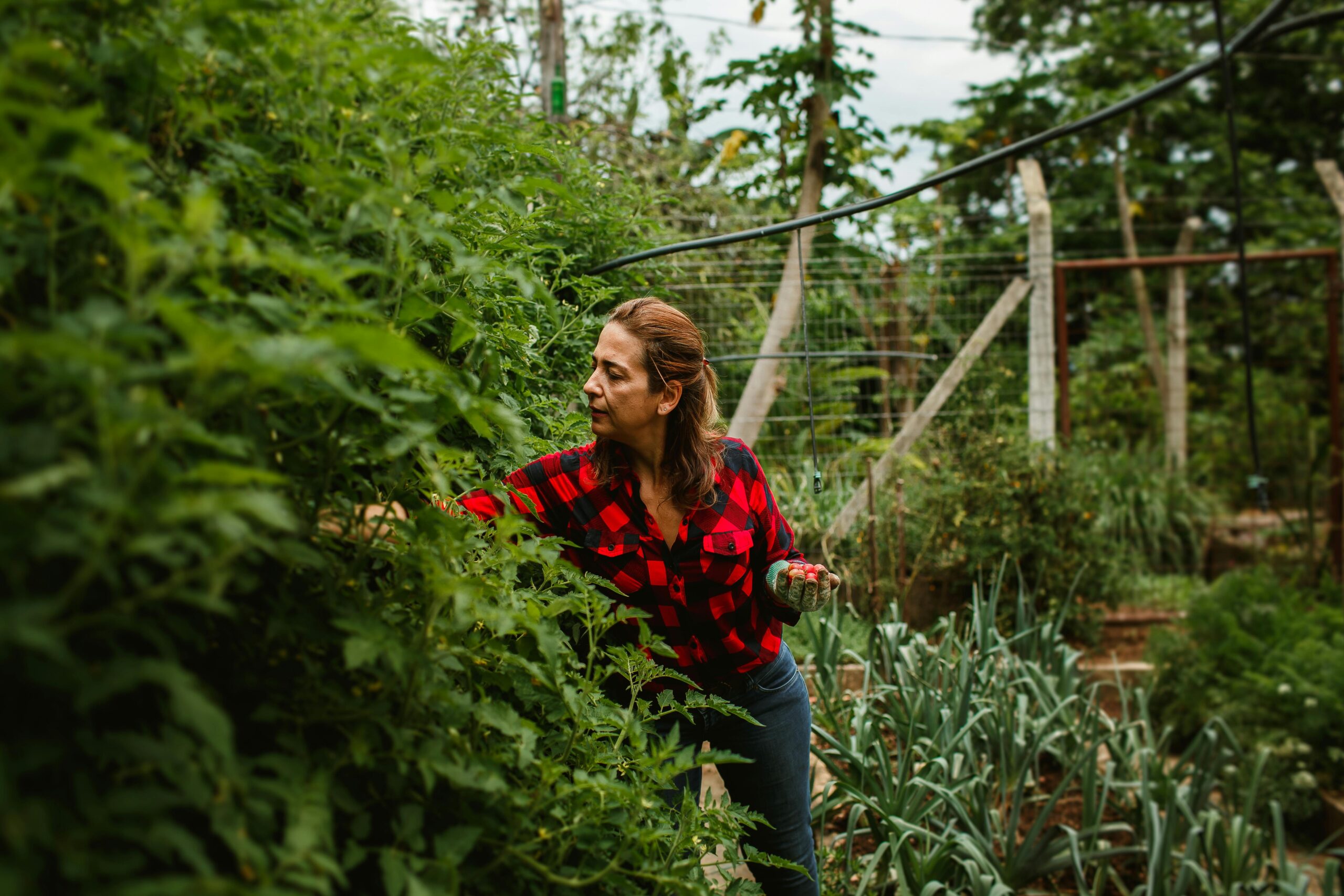 Job i landbrug og natur | Find arbejde i det grønne hos JobGo